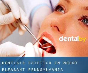 Dentista estético em Mount Pleasant (Pennsylvania)