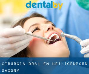 Cirurgia oral em Heiligenborn (Saxony)