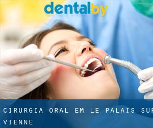 Cirurgia oral em Le Palais-sur-Vienne