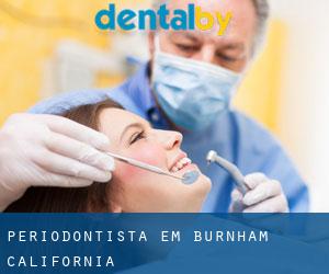 Periodontista em Burnham (California)
