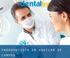 Endodontista em Aguilar de Campos
