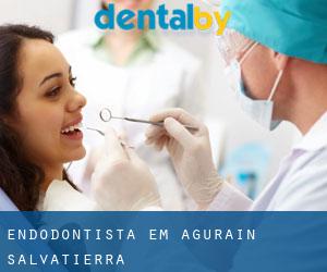 Endodontista em Agurain / Salvatierra