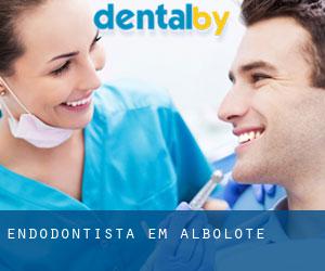 Endodontista em Albolote