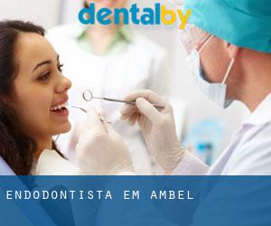 Endodontista em Ambel