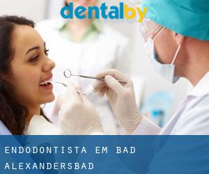 Endodontista em Bad Alexandersbad