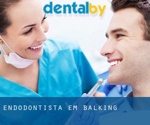 Endodontista em Balking