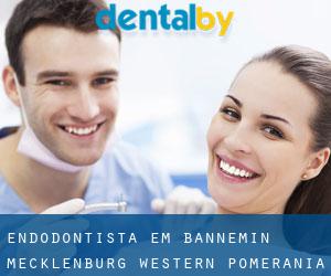 Endodontista em Bannemin (Mecklenburg-Western Pomerania)