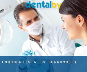 Endodontista em Burrumbeet