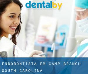 Endodontista em Camp Branch (South Carolina)