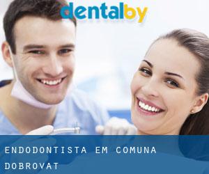 Endodontista em Comuna Dobrovăţ