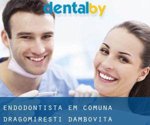 Endodontista em Comuna Dragomireşti (Dâmboviţa)