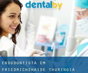 Endodontista em Friedrichshaide (Thuringia)