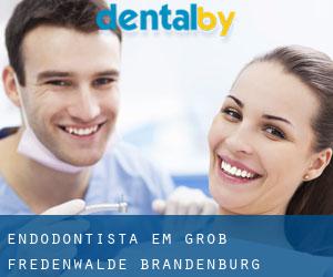 Endodontista em Groß Fredenwalde (Brandenburg)