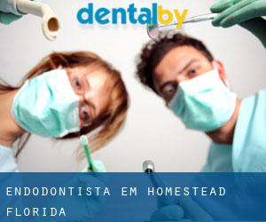 Endodontista em Homestead (Florida)