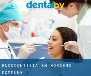 Endodontista em Horsens Kommune