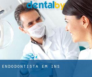 Endodontista em Ins