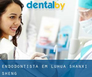 Endodontista em Luhua (Shanxi Sheng)