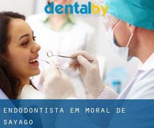 Endodontista em Moral de Sayago