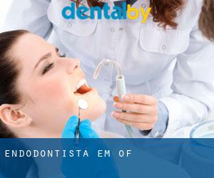 Endodontista em Of