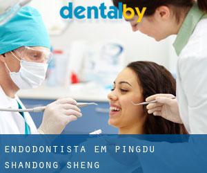 Endodontista em Pingdu (Shandong Sheng)