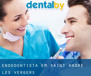 Endodontista em Saint-André-les-Vergers