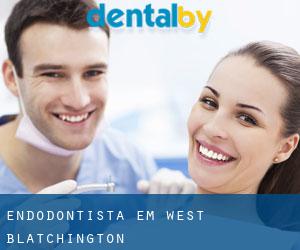 Endodontista em West Blatchington