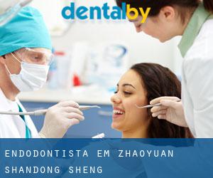 Endodontista em Zhaoyuan (Shandong Sheng)
