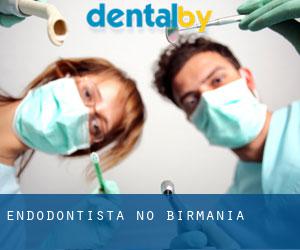 Endodontista no Birmânia Endodontista no Birmânia