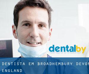 dentista em Broadhembury (Devon, England)