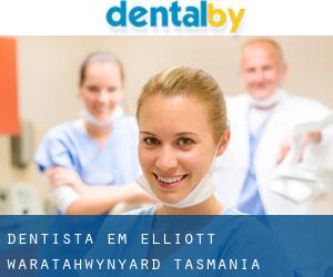 dentista em Elliott (Waratah/Wynyard, Tasmania)