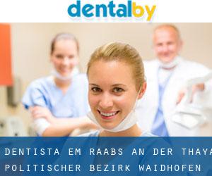 dentista em Raabs an der Thaya (Politischer Bezirk Waidhofen an der Thaya, Lower Austria)