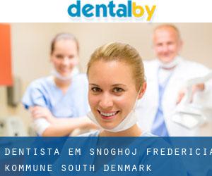 dentista em Snoghøj (Fredericia Kommune, South Denmark)