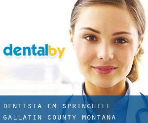 dentista em Springhill (Gallatin County, Montana)