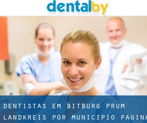 dentistas em Bitburg-Prüm Landkreis por município - página 1