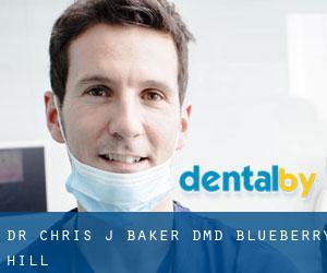Dr. Chris J. Baker, DMD (Blueberry Hill)