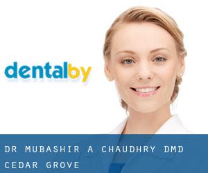 Dr. Mubashir A. Chaudhry, DMD (Cedar Grove)